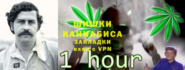 дурь Бронницы