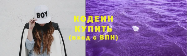 эйфоретик Бородино