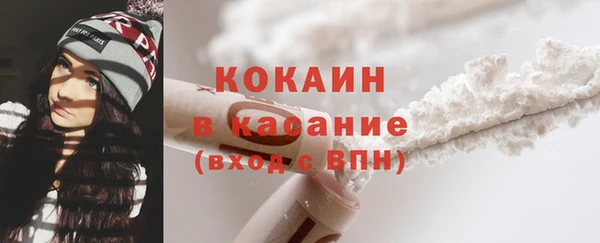 дурь Бронницы