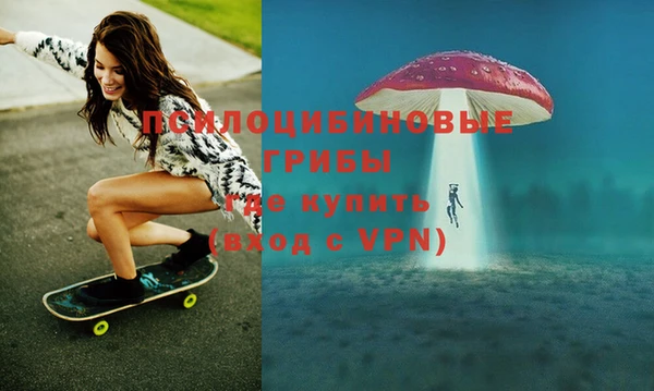 дурь Бронницы