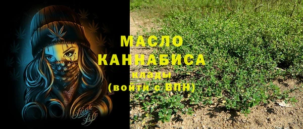 эйфоретик Бородино