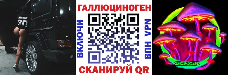 где купить наркоту  Щучье  Псилоцибиновые грибы ЛСД 